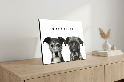 Mika & Bailey - White