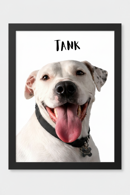 Tank black frame